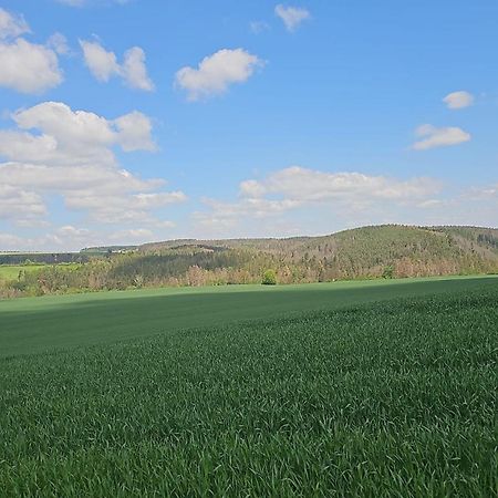 Ferienhaus-Wurzbach Eksteriør bilde